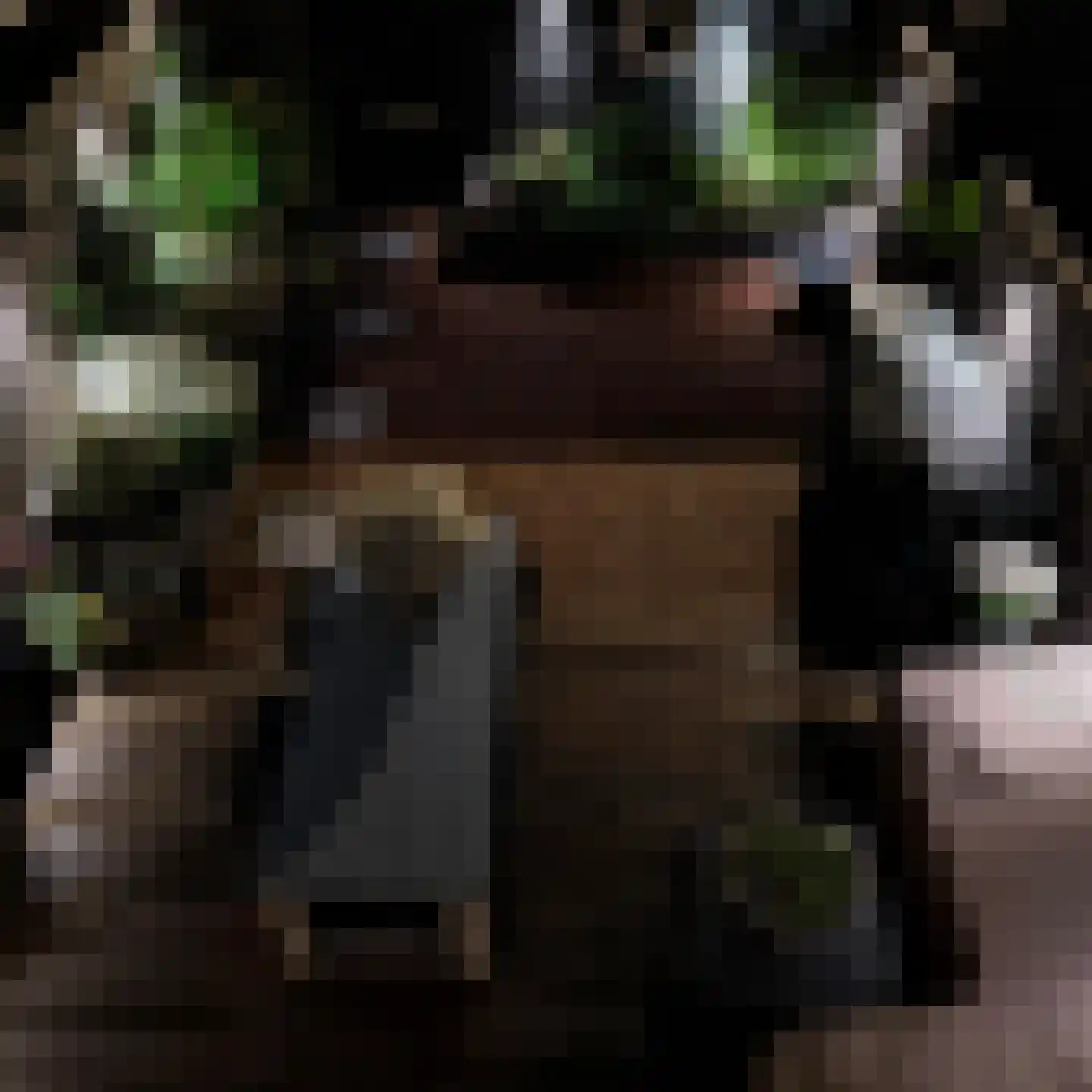Pijlkruidveld 23 Den Haag thumbnail 38