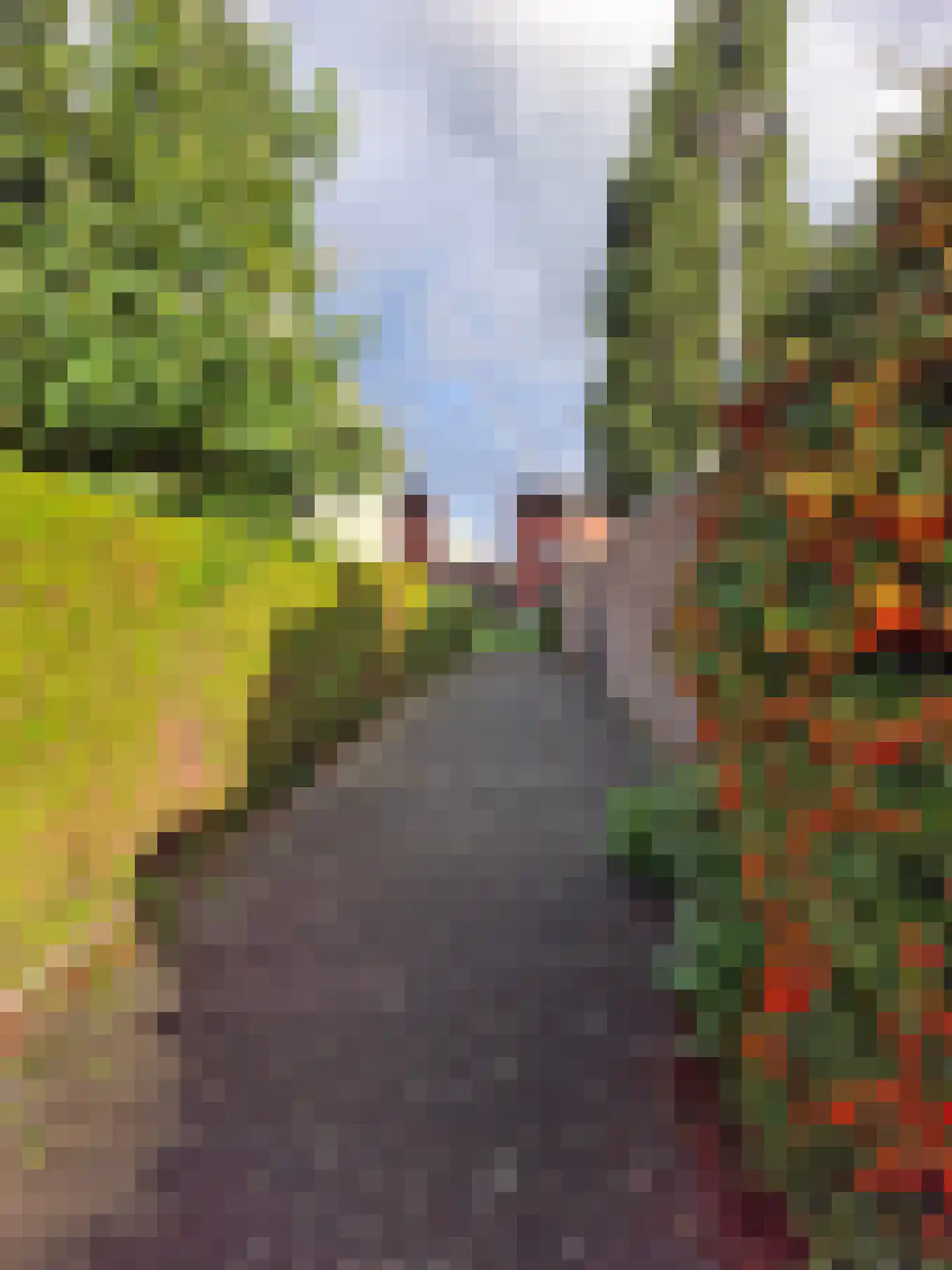 Pijlkruidveld 23 Den Haag thumbnail 39