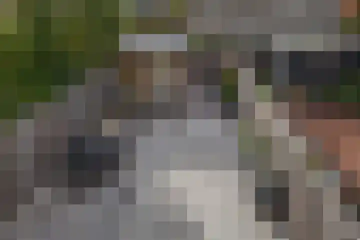Pijlkruidveld 24 Den Haag thumbnail 20