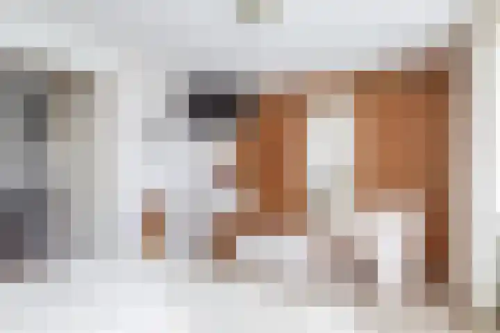 Pijlkruidveld 24 Den Haag thumbnail 24
