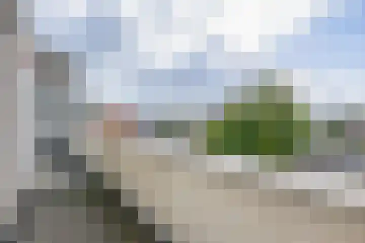 Pijlkruidveld 24 Den Haag thumbnail 25
