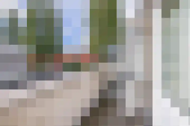 Pijlkruidveld 24 Den Haag thumbnail 26