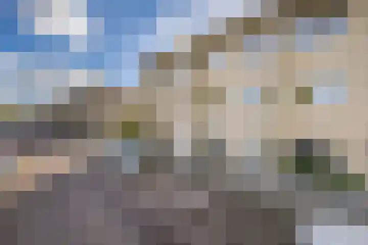 Pijlkruidveld 24 Den Haag thumbnail 36