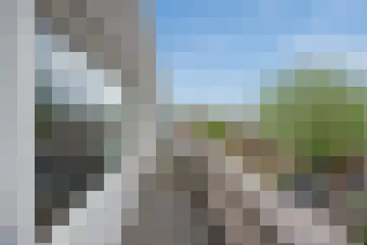 Pijlkruidveld 28 Den Haag thumbnail 15