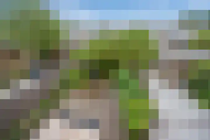 Pijlkruidveld 28 Den Haag thumbnail 21