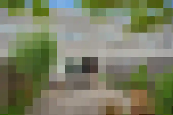Pijlkruidveld 28 Den Haag thumbnail 24