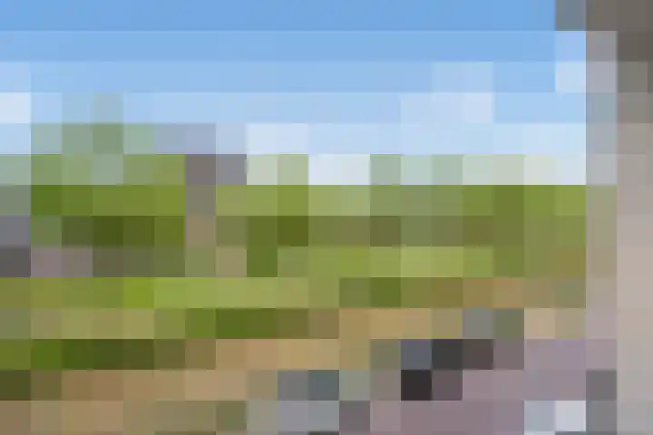 Pijlkruidveld 28 Den Haag thumbnail 25