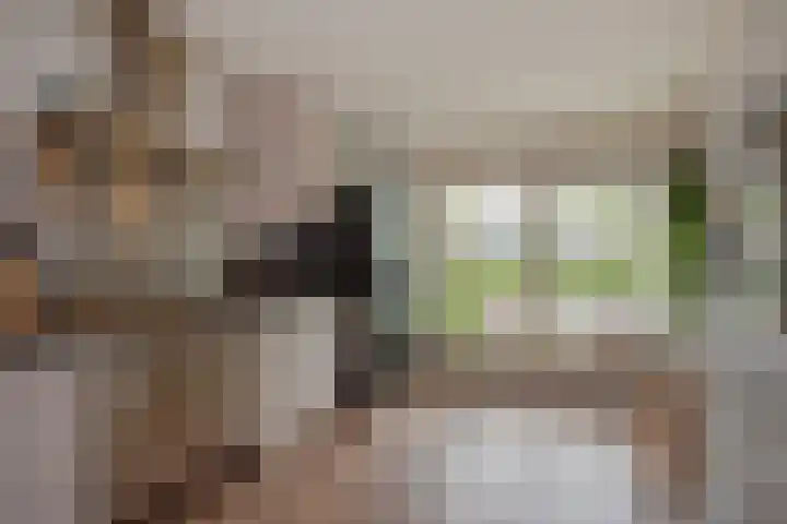 Pijlkruidveld 28 Den Haag thumbnail 9