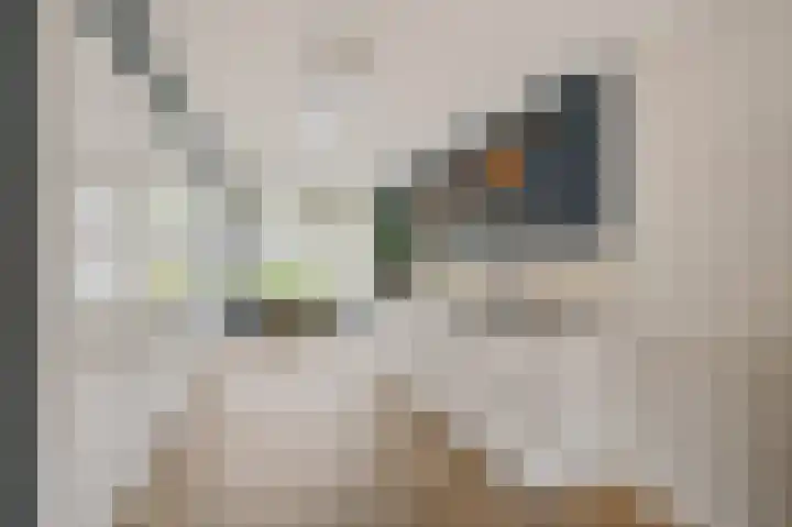 Pijlkruidveld 37 Den Haag thumbnail 10