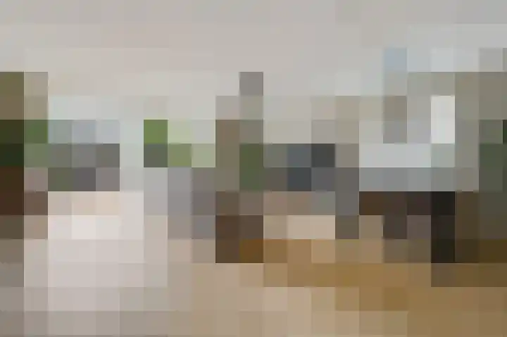 Pijlkruidveld 37 Den Haag thumbnail 14