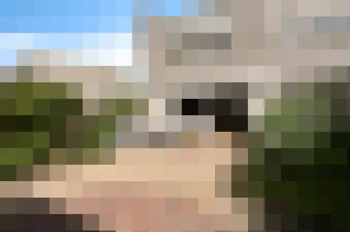 Pijlkruidveld 37 Den Haag thumbnail 18