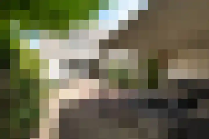 Pijlkruidveld 37 Den Haag thumbnail 20