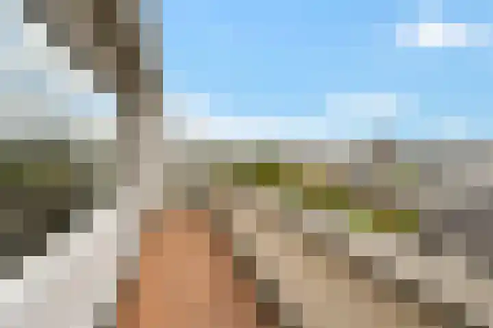 Pijlkruidveld 37 Den Haag thumbnail 27