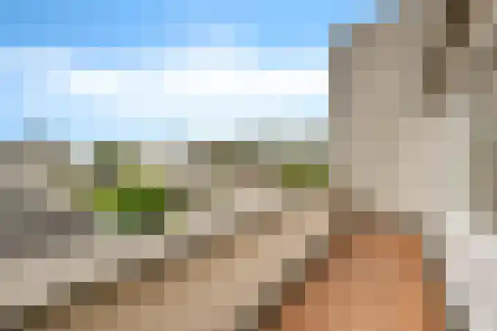 Pijlkruidveld 37 Den Haag thumbnail 28