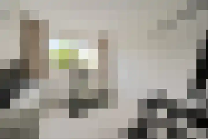 Pijlkruidveld 37 Den Haag thumbnail 34