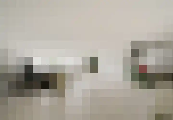 Pijlkruidveld 37 Den Haag thumbnail 42