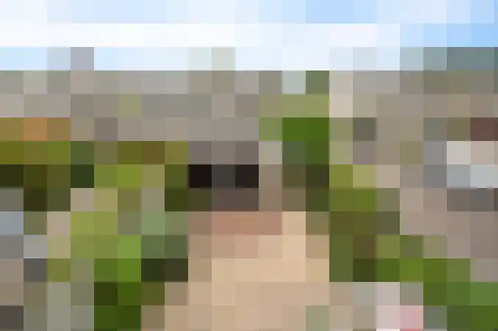 Pijlkruidveld 37 Den Haag thumbnail 45