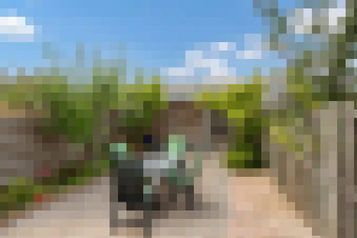 Pijlkruidveld 43 Den Haag thumbnail 5