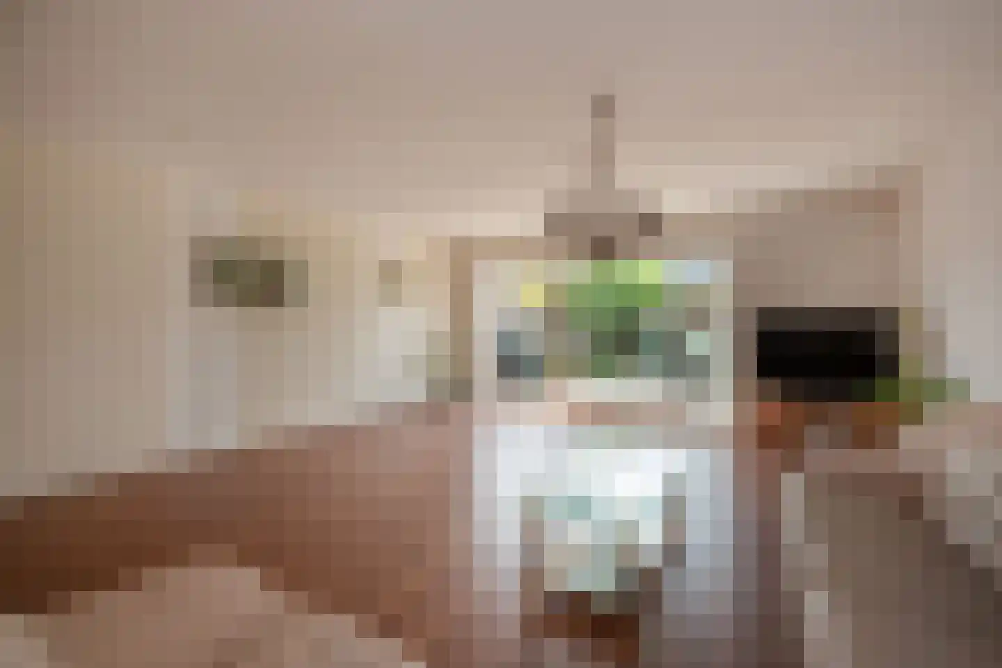 Pijlkruidveld 43 Den Haag thumbnail 8