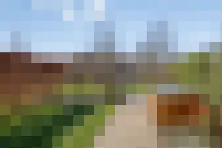 Pijlpuntstraat 14 Nijmegen thumbnail 36