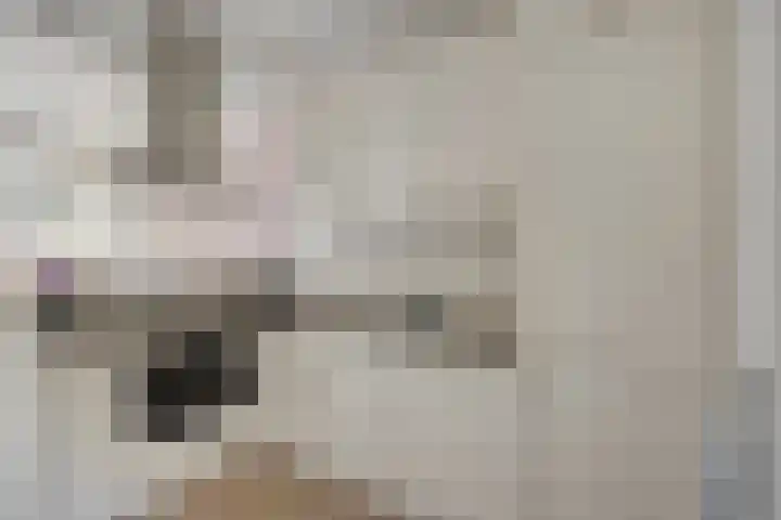 Pijlpuntstraat 14 Nijmegen thumbnail 4
