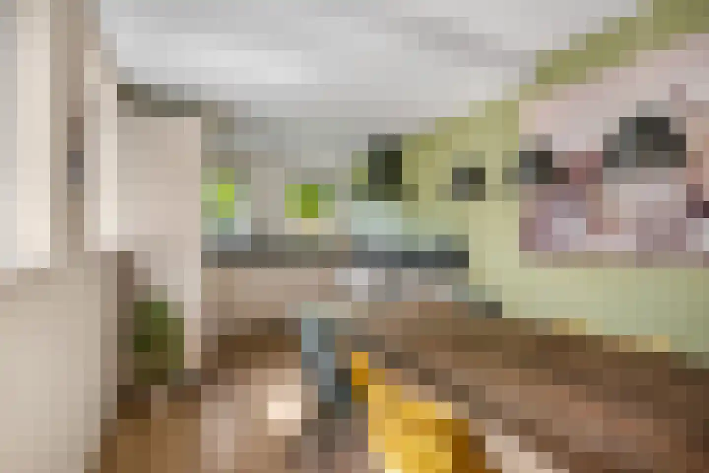 Pijlpuntstraat 2 Nijmegen thumbnail 11