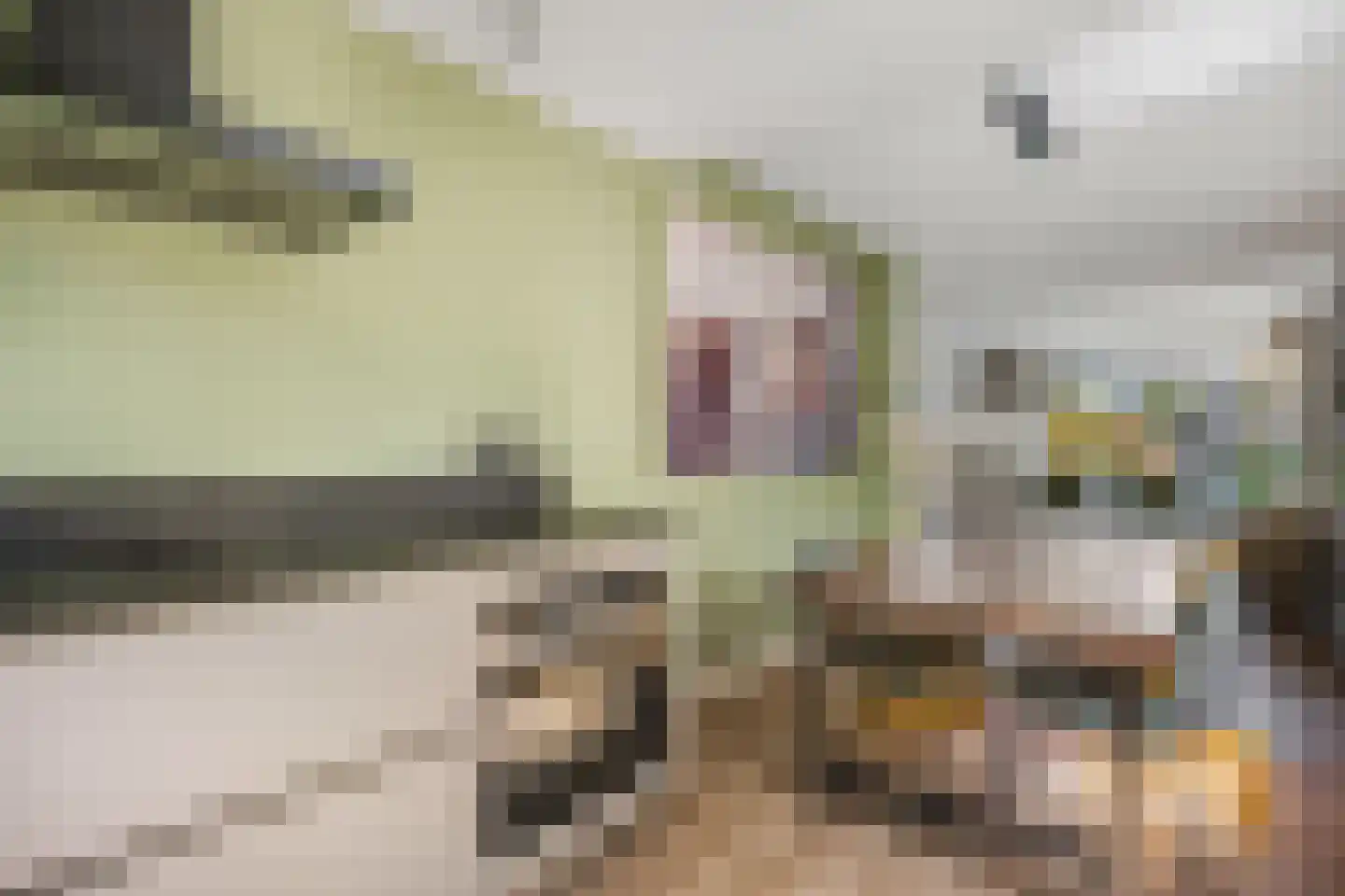 Pijlpuntstraat 2 Nijmegen thumbnail 15