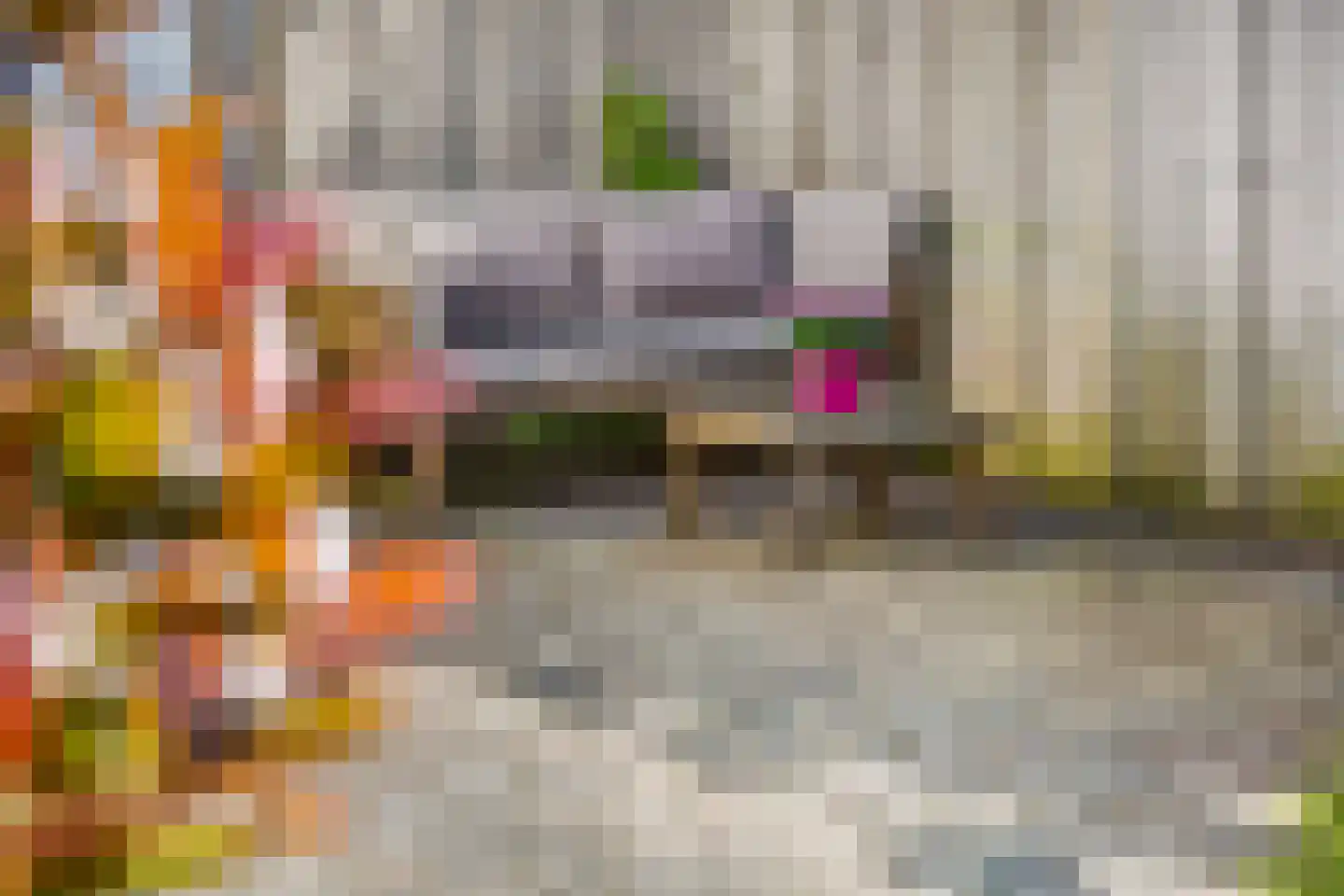 Pijlpuntstraat 2 Nijmegen thumbnail 33