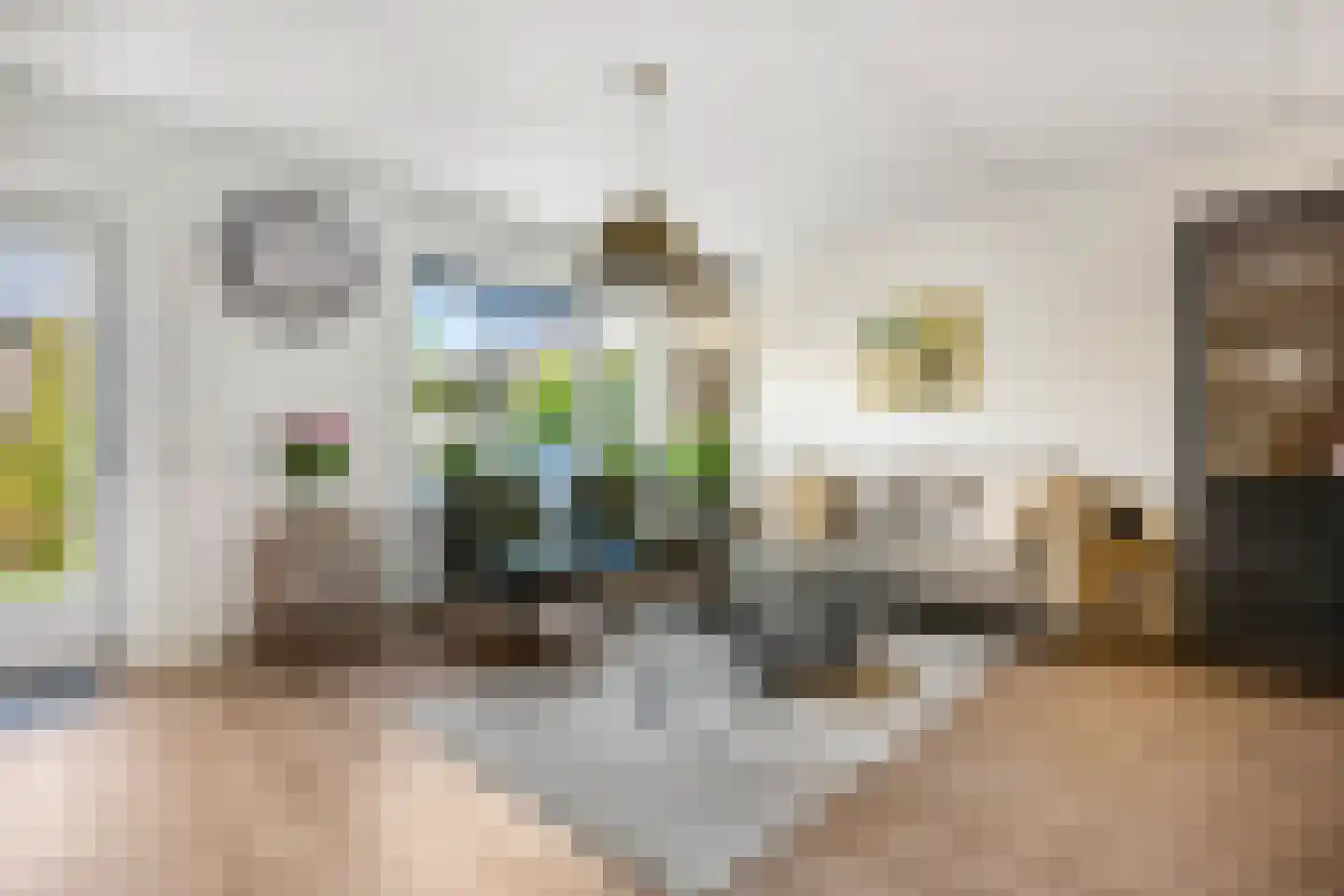 Pijlpuntstraat 2 Nijmegen thumbnail 6