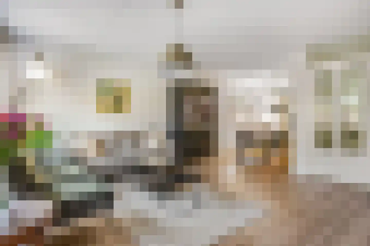 Pijlpuntstraat 2 Nijmegen thumbnail 7