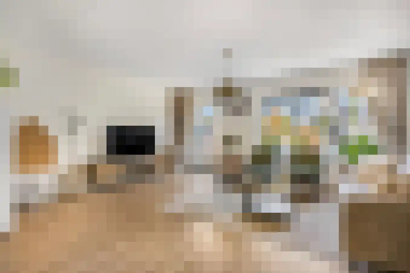 Pijlpuntstraat 2 Nijmegen thumbnail 9