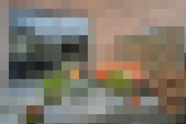Pijlpuntstraat 30 Nijmegen thumbnail 6