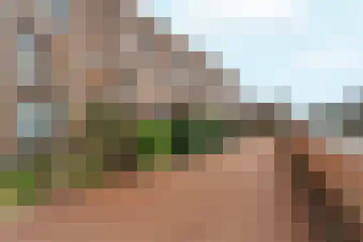 Pijlpuntstraat 30 Nijmegen thumbnail 7