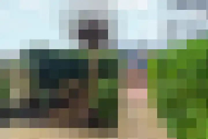 Pijlpuntstraat 30 Nijmegen thumbnail 9