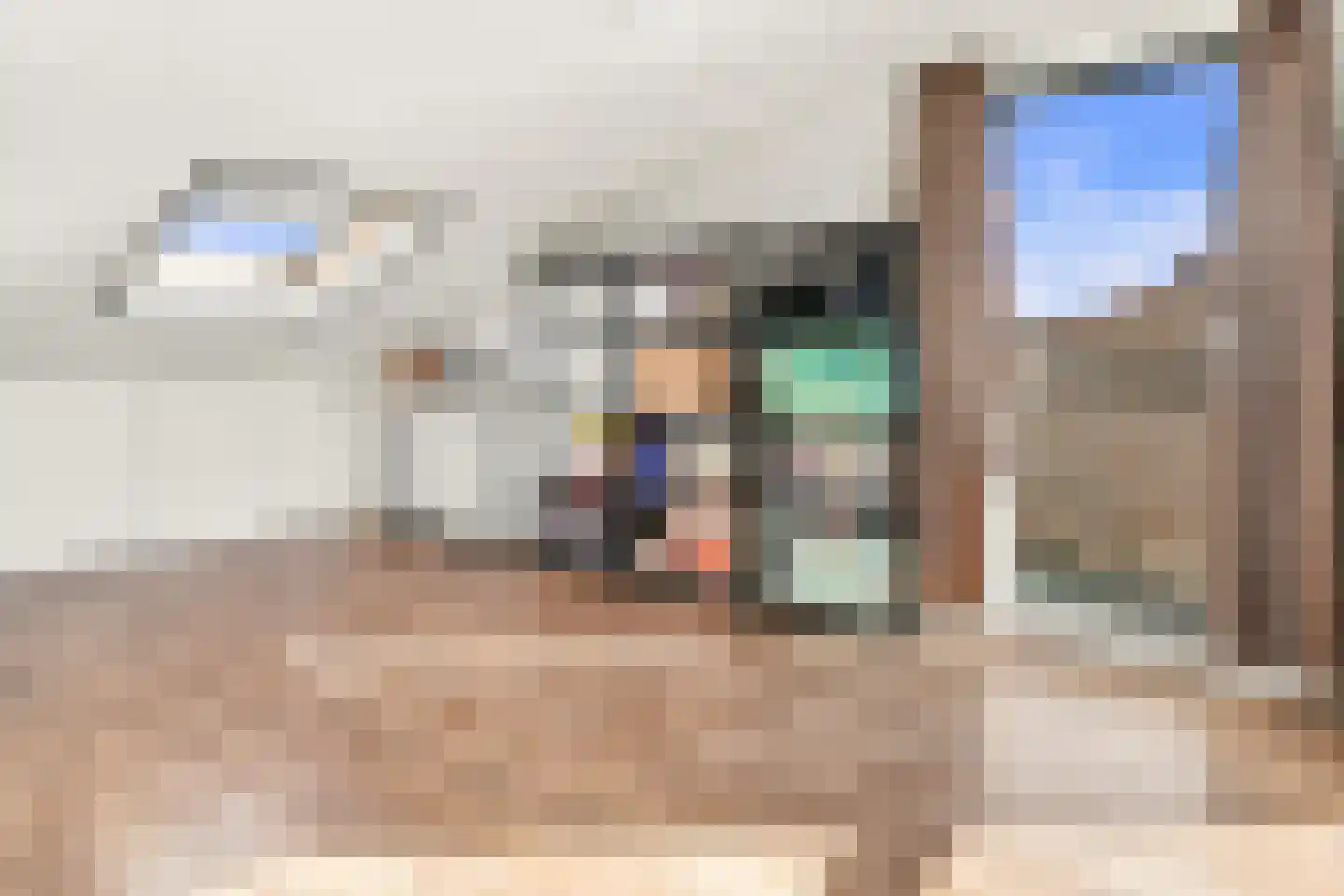 Pijlpuntstraat 42 Nijmegen thumbnail 22