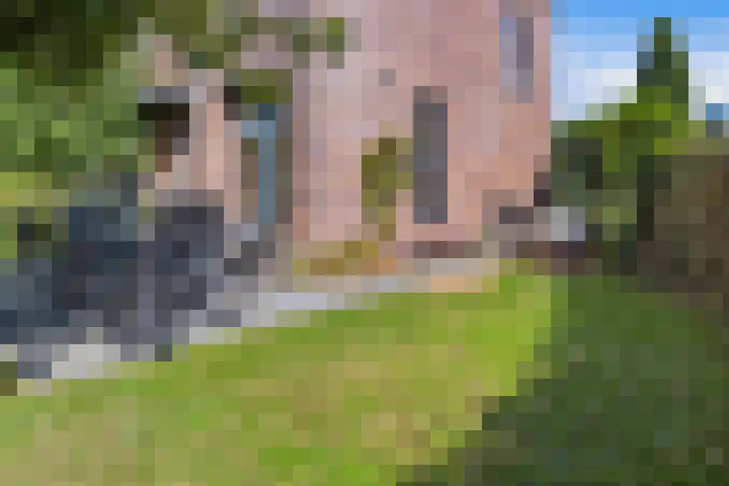 Pijlpuntstraat 42 Nijmegen thumbnail 5