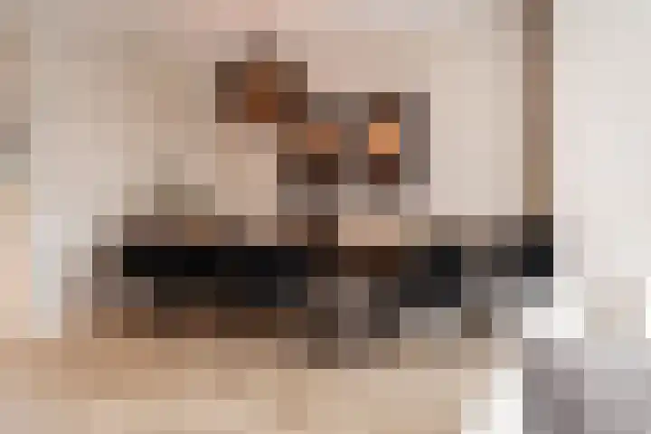 Pijlslaan 112 Haarlem thumbnail 7
