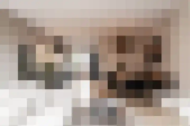 Pijlslaan 112 Haarlem thumbnail 9