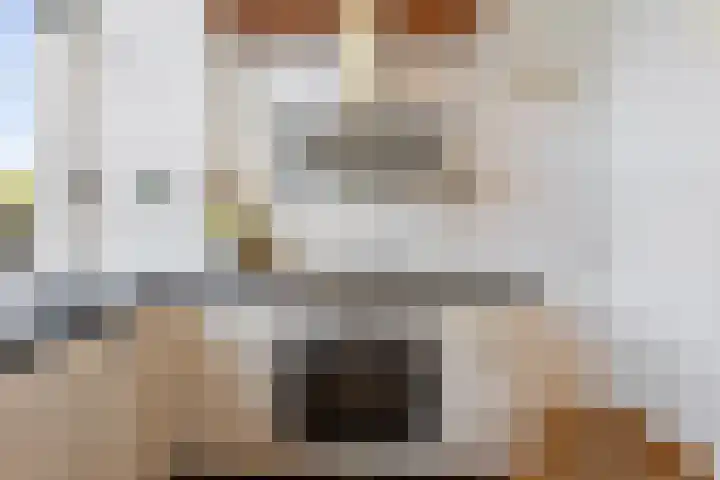 Pijlslaan 3 ZW Haarlem thumbnail 10