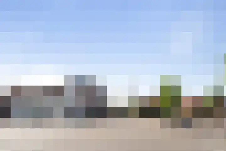 Pijlslaan 3 ZW Haarlem thumbnail 19