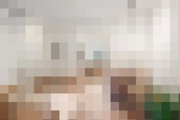 Pijlslaan 3 ZW Haarlem thumbnail 4