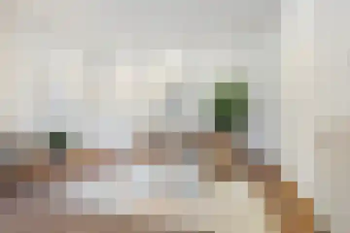 Pijlslaan 3 ZW Haarlem thumbnail 8