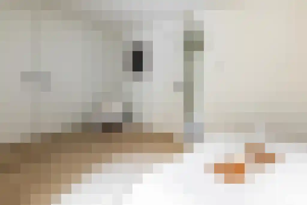 Pijlslaan 5 Haarlem thumbnail 15