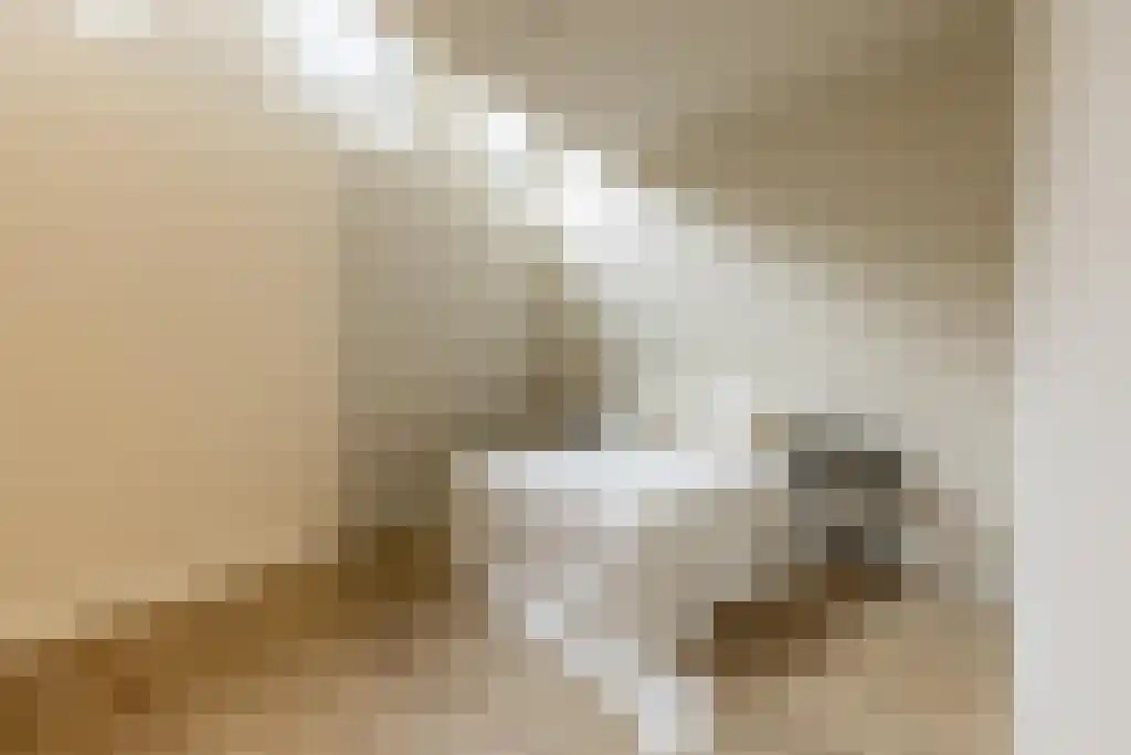 Pijlslaan 5 Haarlem thumbnail 18