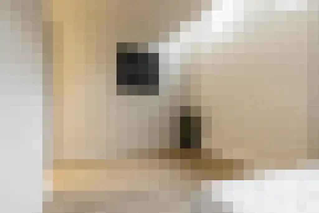Pijlslaan 5 Haarlem thumbnail 19