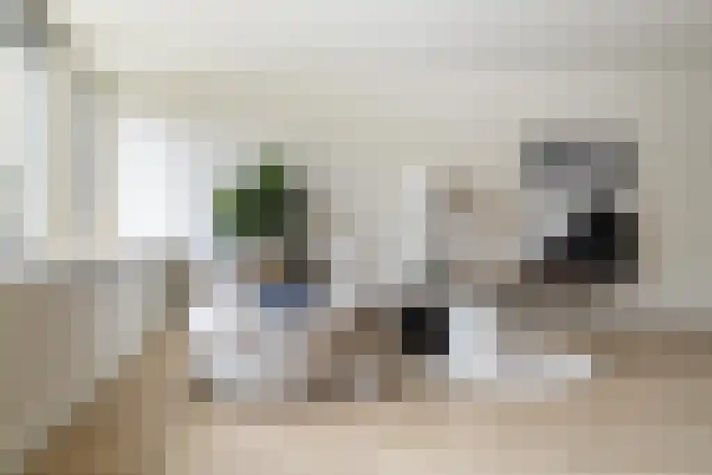 Pijlslaan 5 Haarlem thumbnail 5