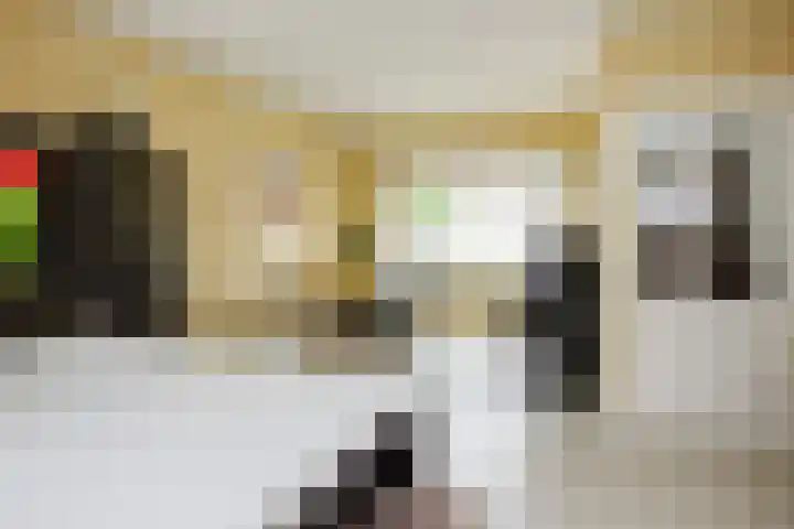 Pijlslaan 65 Haarlem thumbnail 10