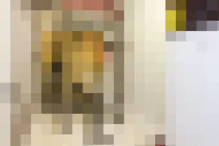 Pijlslaan 65 Haarlem thumbnail 13