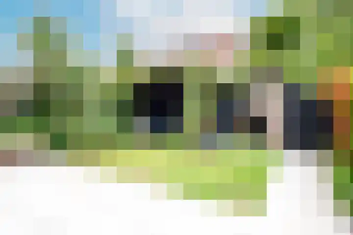 Pijlslaan 65 Haarlem thumbnail 17