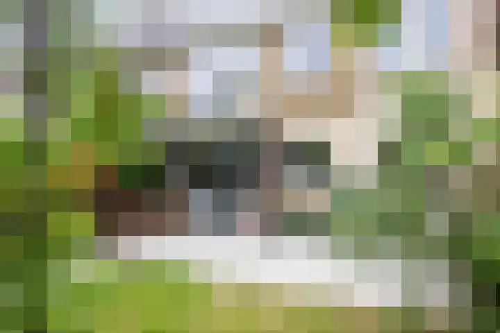 Pijlslaan 65 Haarlem thumbnail 19